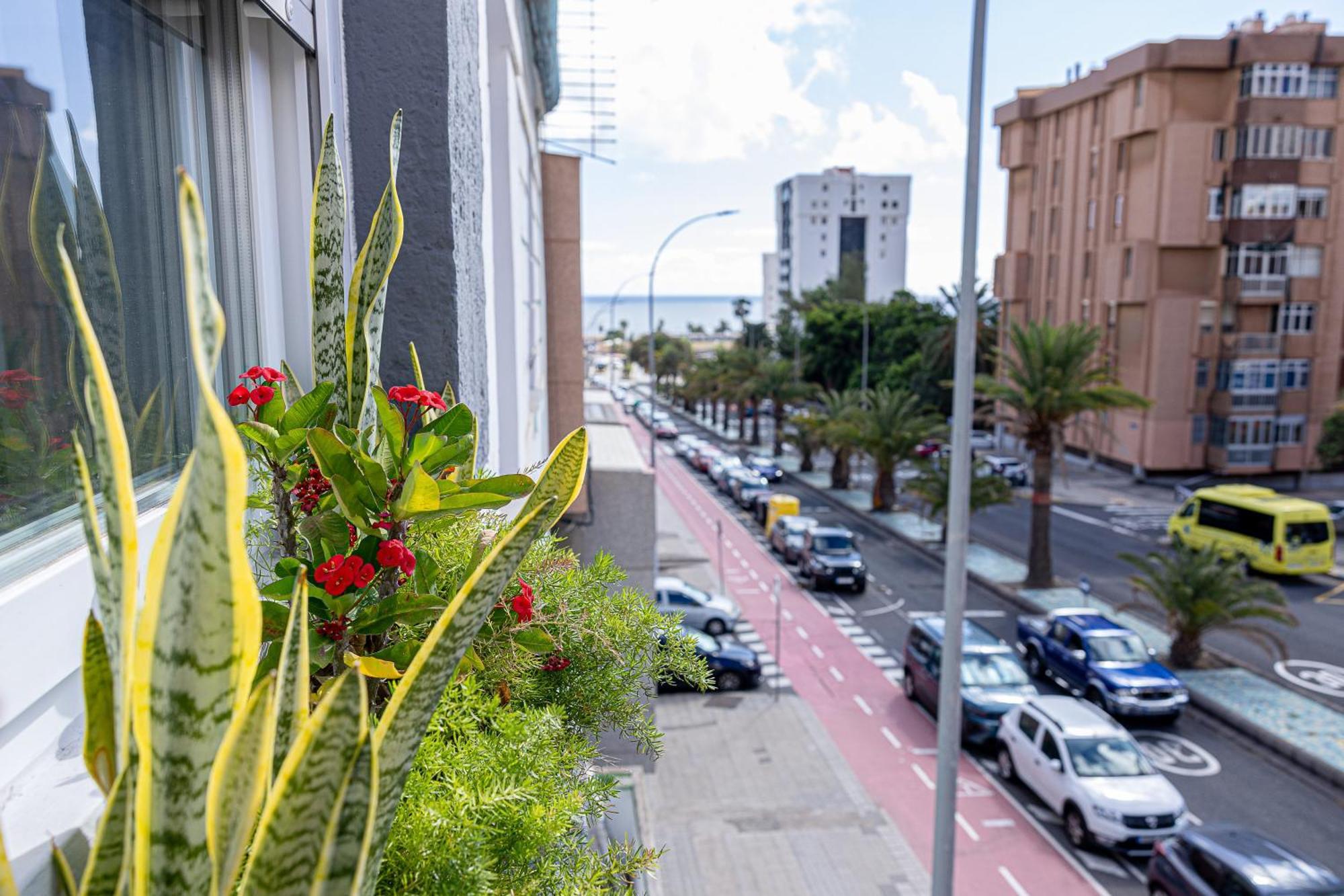 Bambu Suites Vegueta Alquiler Por Habitacion Las Palmas Buitenkant foto