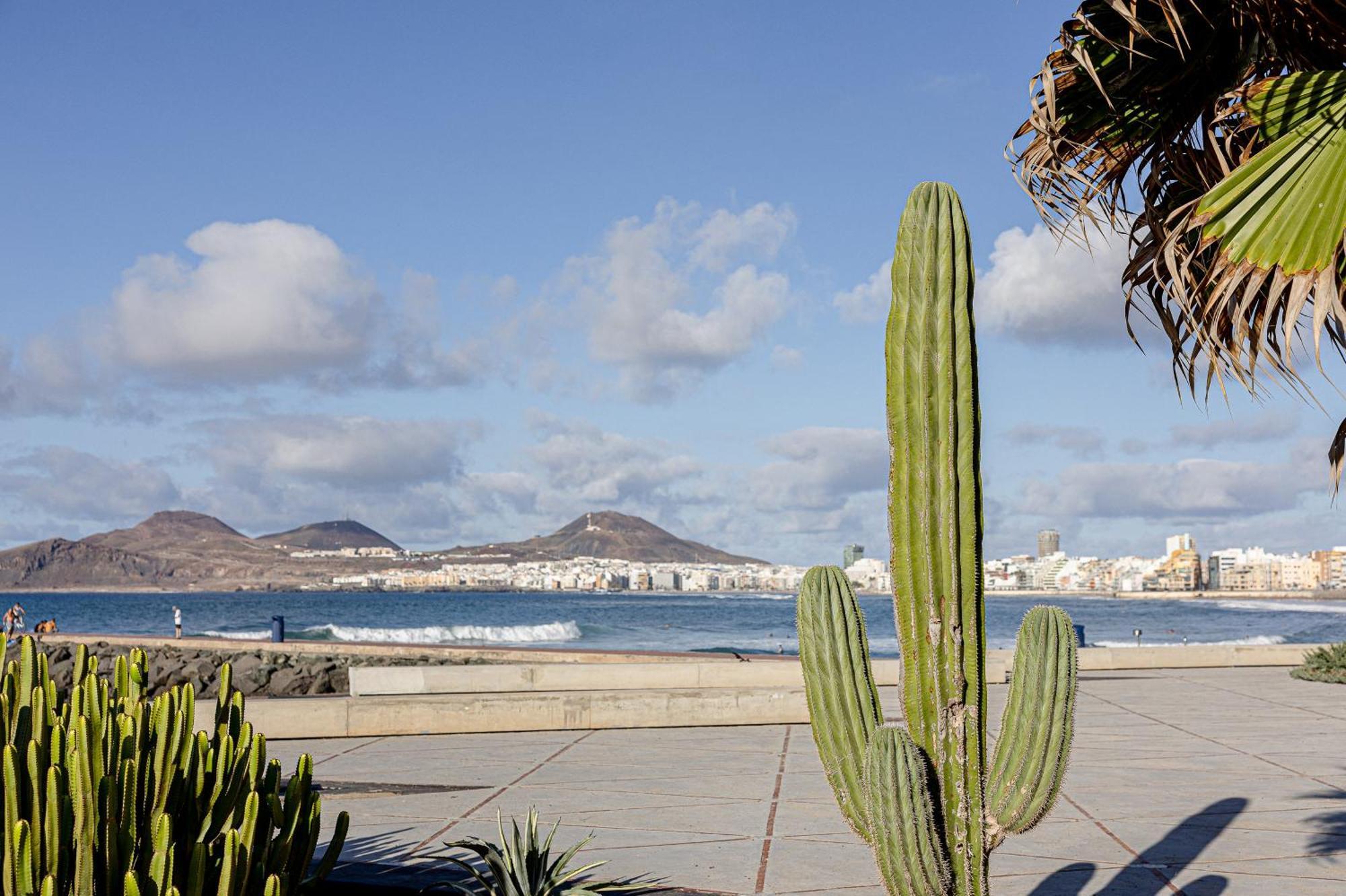 Bambu Suites Vegueta Alquiler Por Habitacion Las Palmas Buitenkant foto
